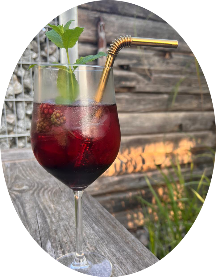 Stonys-Gaudihuettn-4